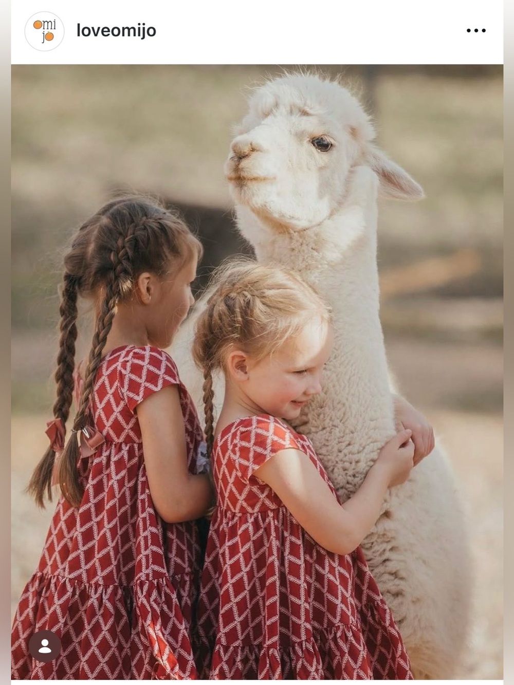 Well Dressed Wolf Red and White Casual Kids Dress 4 T Christmas